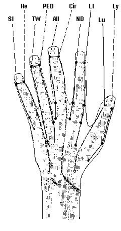 EAP Points on the Hand 